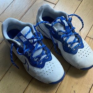 Nike Kids White and Royal Blue Sport Sneakers